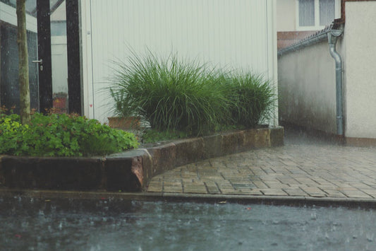 French Drain vs. Trench Drain: What's the Difference? - Vodaland