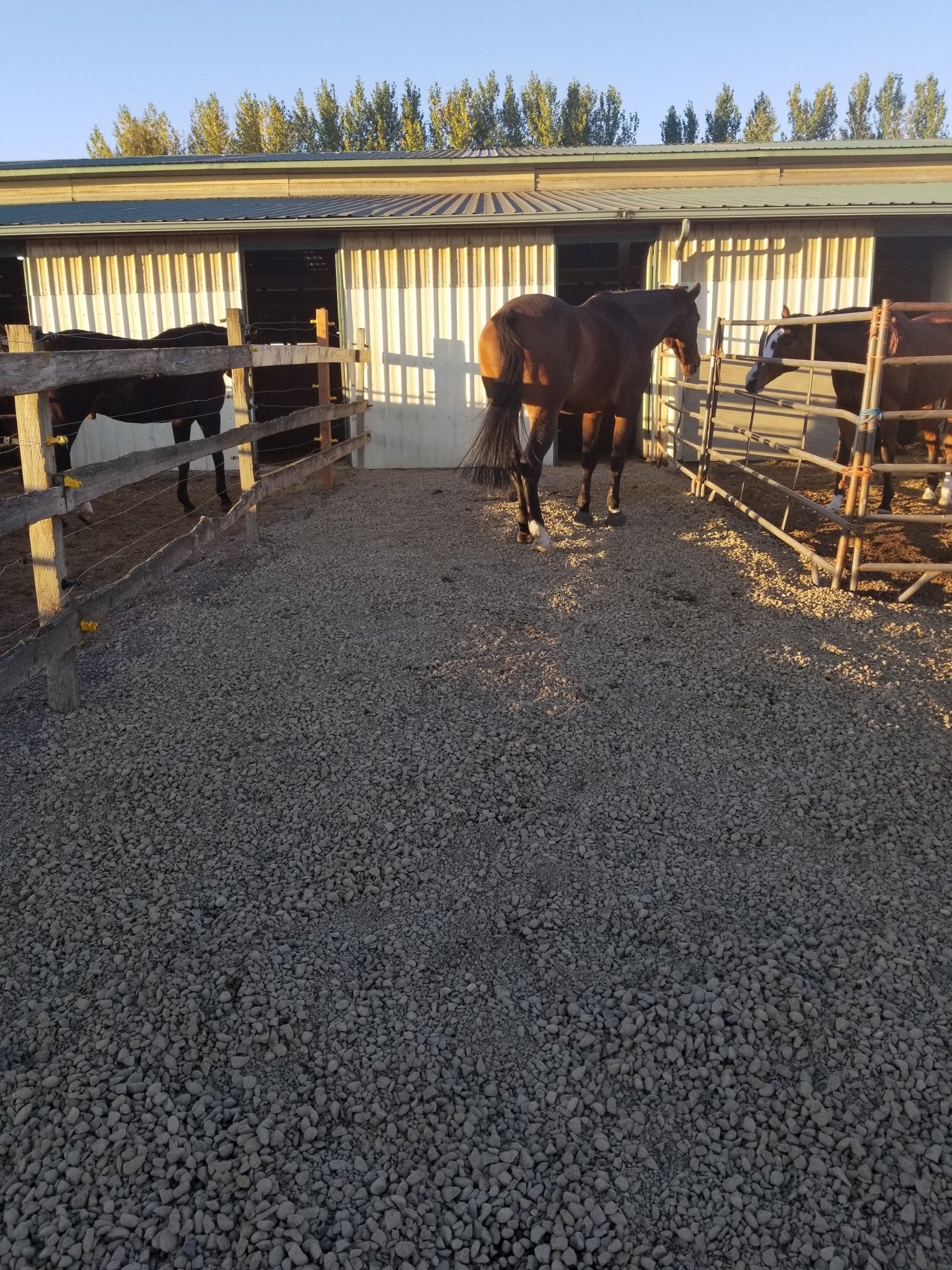 Used GeoCells for our horse paddocks, and its awesome - Vodaland