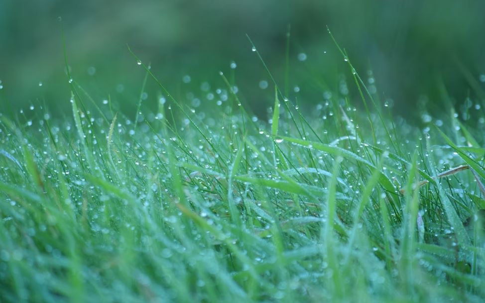 How to Prepare Your Property for Heavy Spring Rains: A Homeowner's Guide - Vodaland