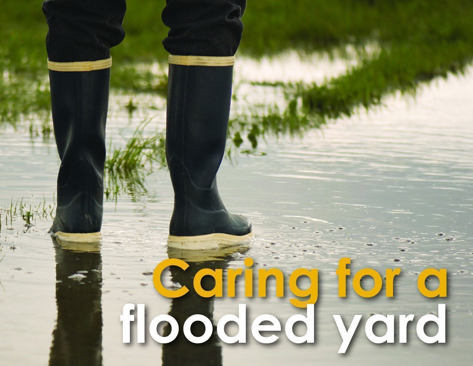 How to remove water from your yard. - Vodaland