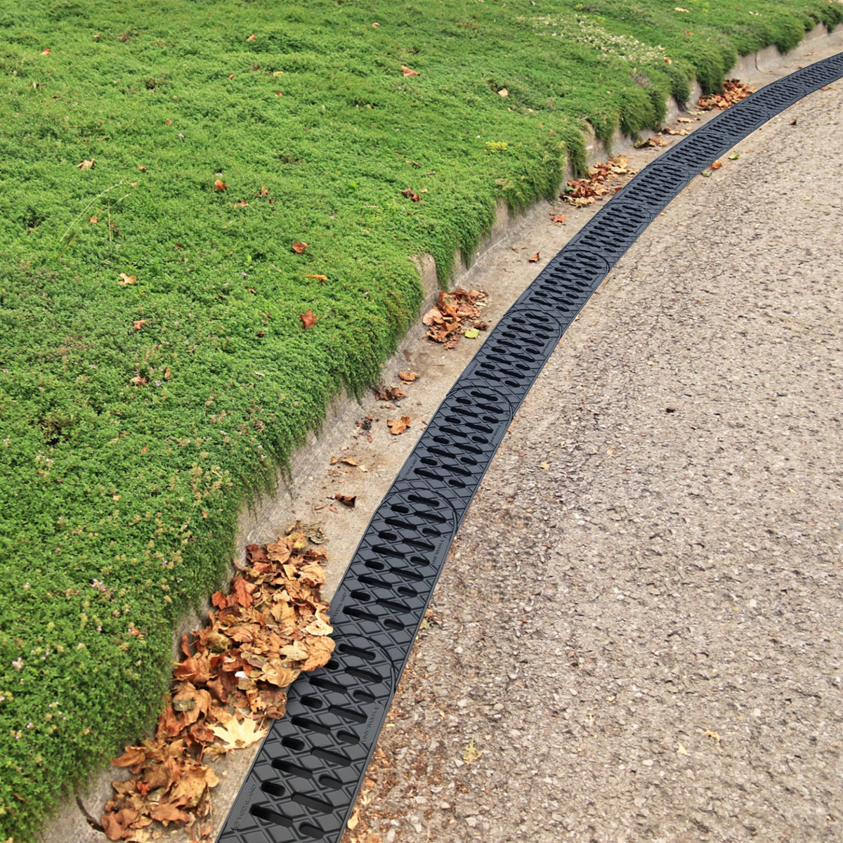 Easy Custom Curve