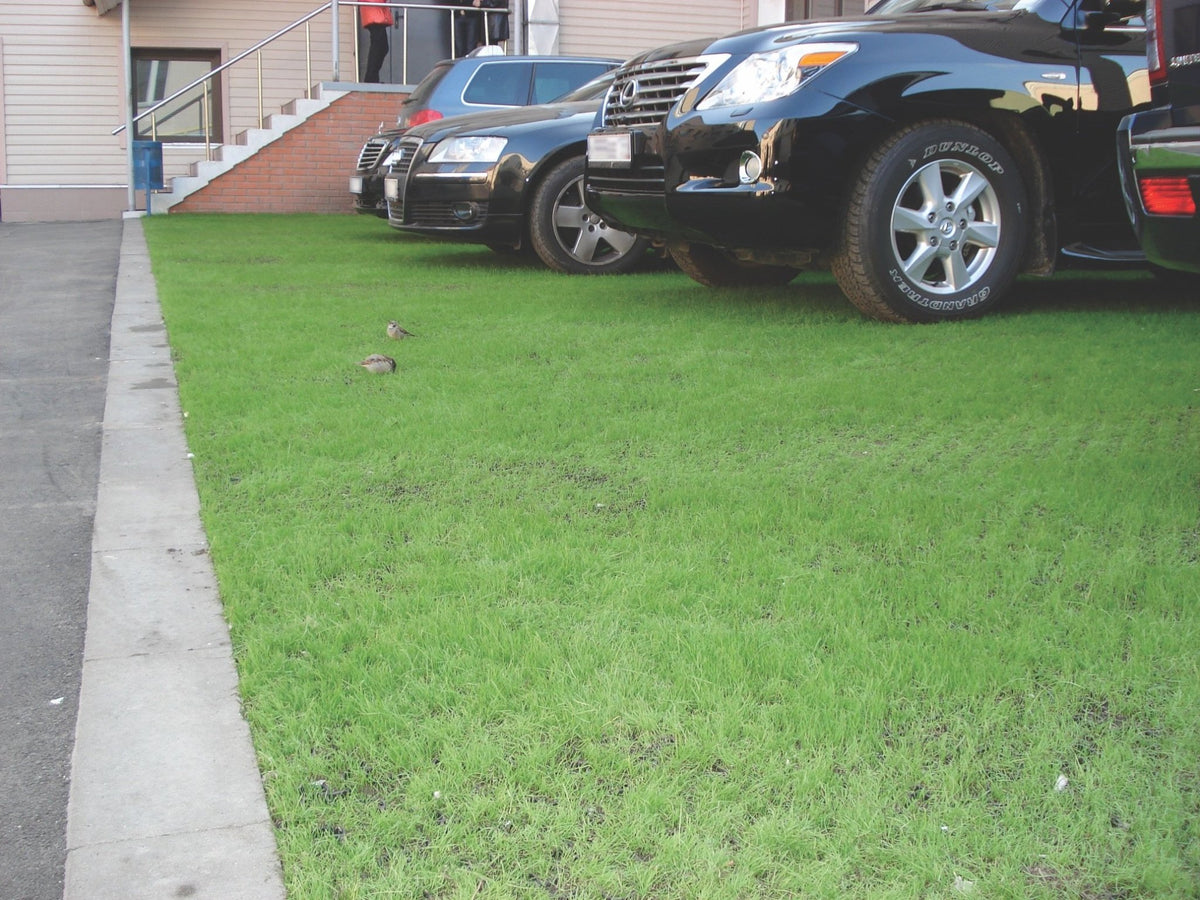 Driveable System Drivable Grass Pavement Systems