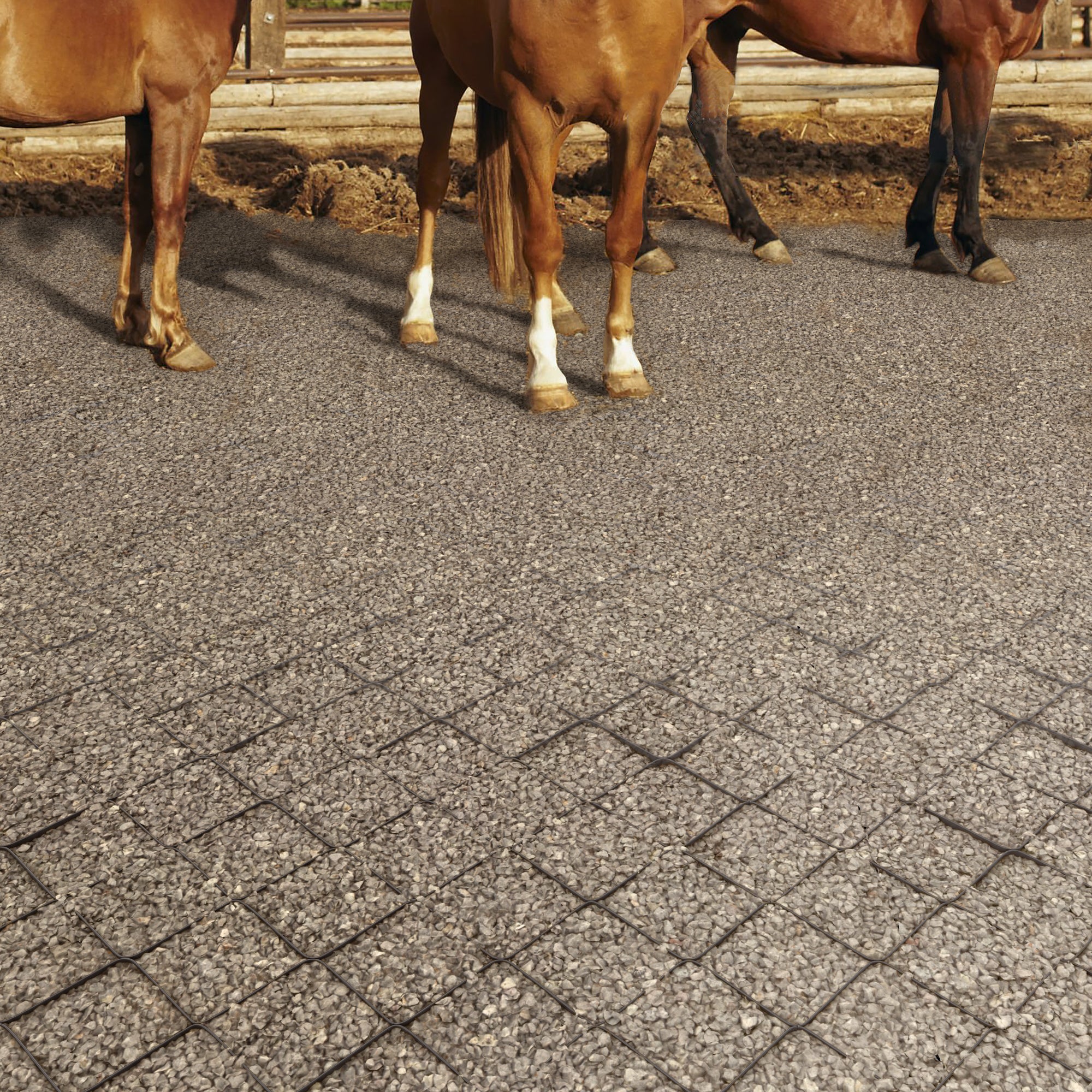 Gravel Grid Clips 50-Pack Geogrid Connector Clips - Break-Proof Design ...